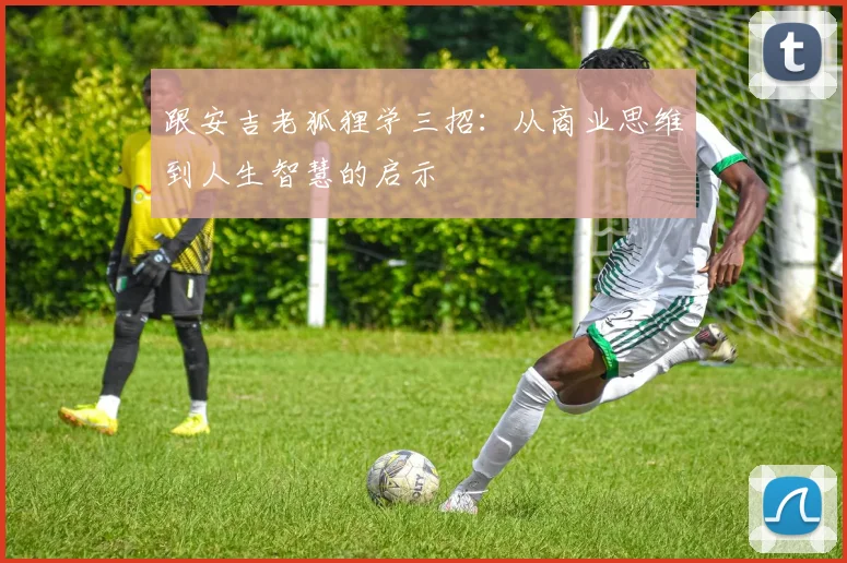 跟安吉老狐狸学三招：从商业思维到人生智慧的启示