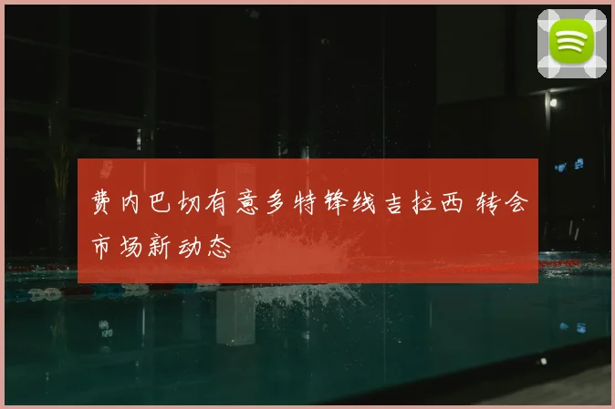 费内巴切有意多特锋线吉拉西 转会市场新动态